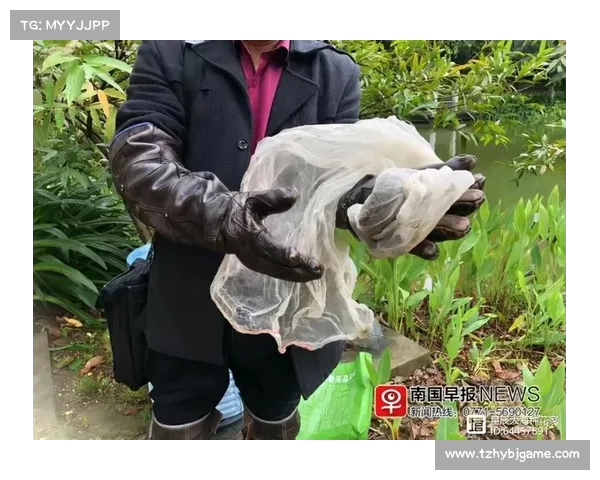 蛇类避水新行为:武汉江滩大蛇爬上高处监控杆,专家揭秘应激反应背后原因 蛇类避水新行为:武汉江滩大蛇爬上高处监控杆,专家揭秘应激反应背后原因